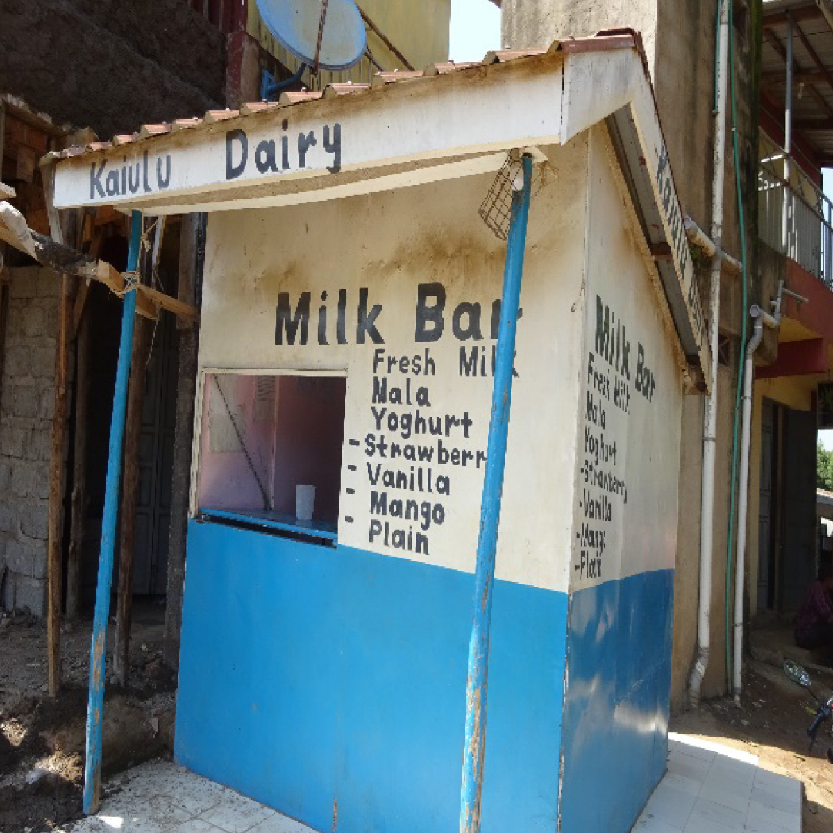 MAZIWA LALA, Kenya. Kajulu Dairy Cooperative